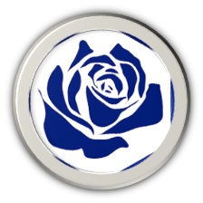BLUE ROSES VIAJES EIRL